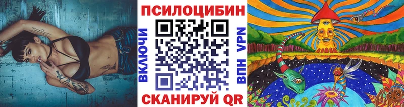 Галлюциногенные грибы Psilocybine cubensis KRAKEN как зайти Знаменск