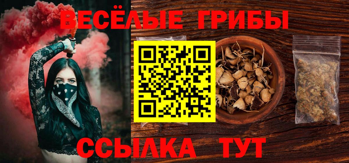 Псилоцибиновые грибы Psilocybe Знаменск